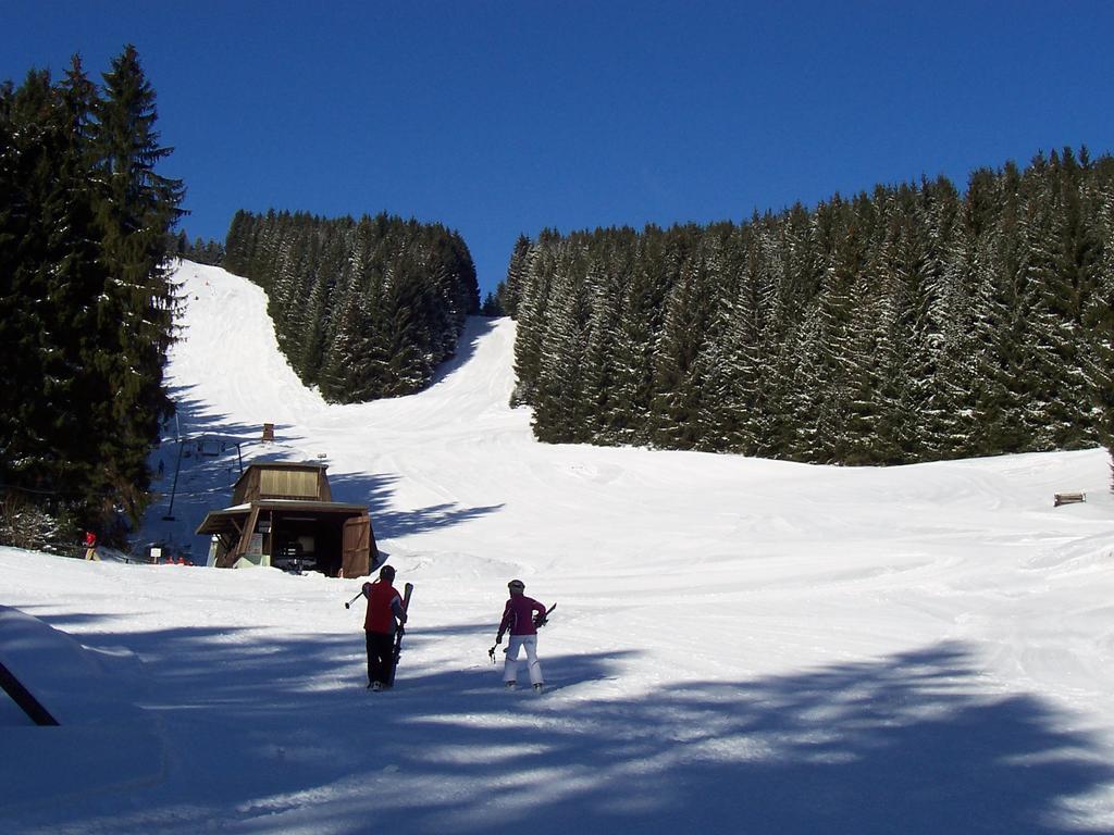 Edelweiss Apartamento Schulenberg im Oberharz Exterior foto